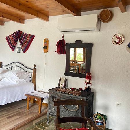 Villa Kamari- Stunning Views Κριτσά Εξωτερικό φωτογραφία