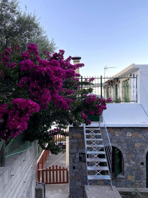 Villa Kamari- Stunning Views Κριτσά Εξωτερικό φωτογραφία