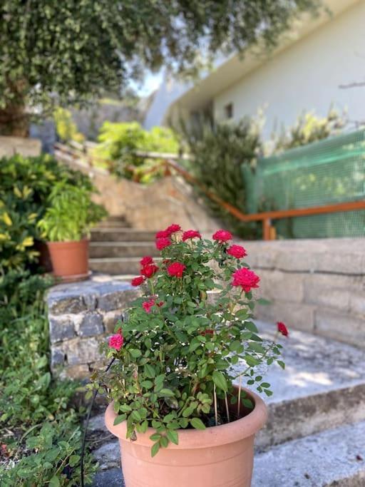 Villa Kamari- Stunning Views Κριτσά Εξωτερικό φωτογραφία