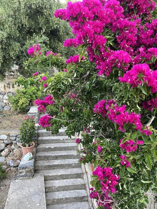 Villa Kamari- Stunning Views Κριτσά Εξωτερικό φωτογραφία